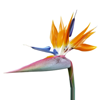 Gartenbau Heinke
